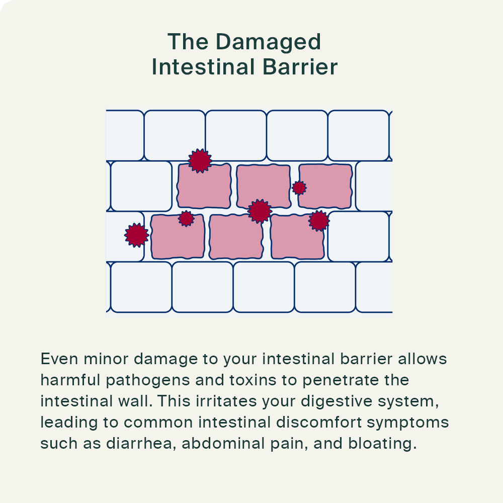 Irritable Bowel PRO